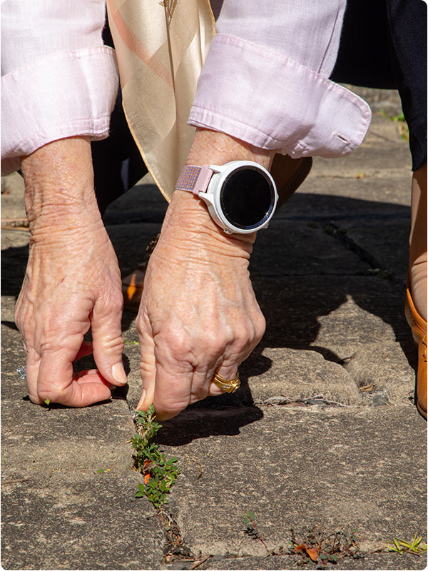 Live Life alarms watch is covered by Support at Home