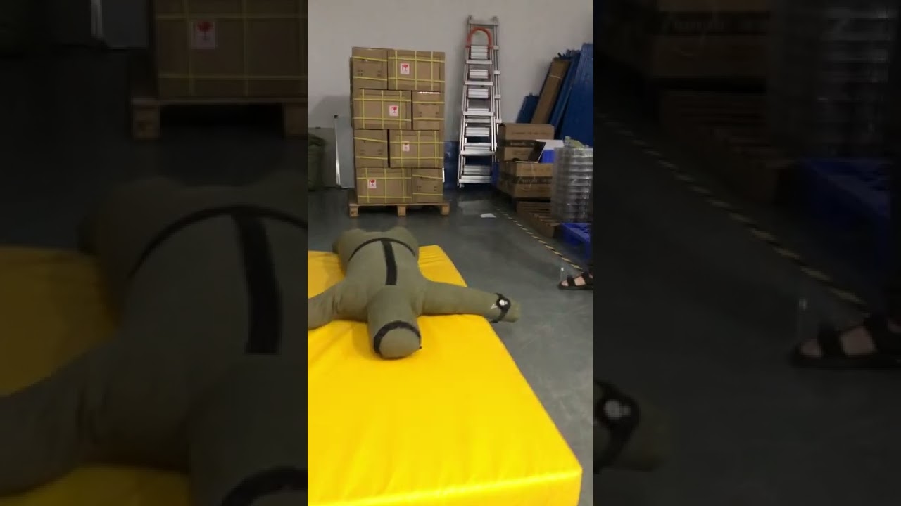 Fall detection demo - watch and pendant worn as a watch