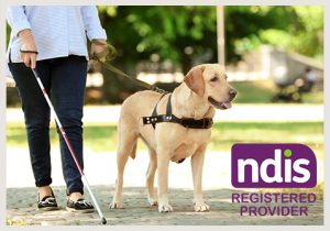 NDIS provider live life medical personal alarm systems