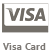 accpets-visa-card-logo